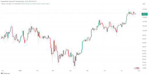 BTC Price