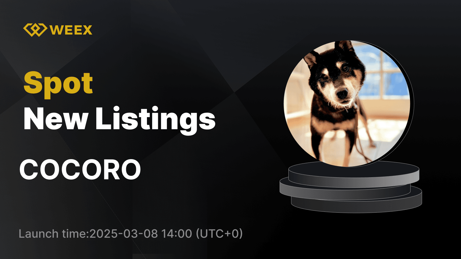 COCORO USDT Will be Listed on WEEX Spot