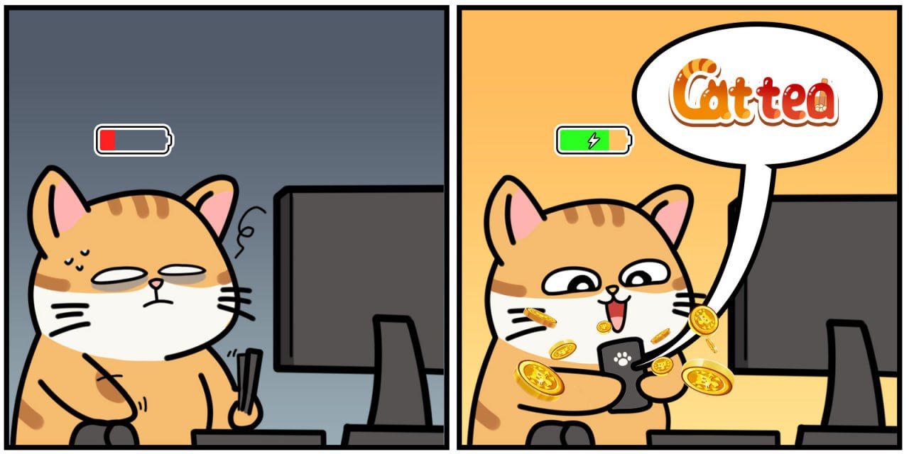 Cattea Daily Combo 5 February 2025- Most Complete Cattea Airdrop Guide