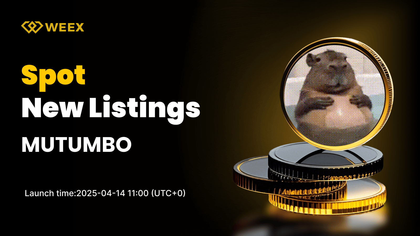 MUTUMBO USDT Trading Goes Live on WEEX Spot