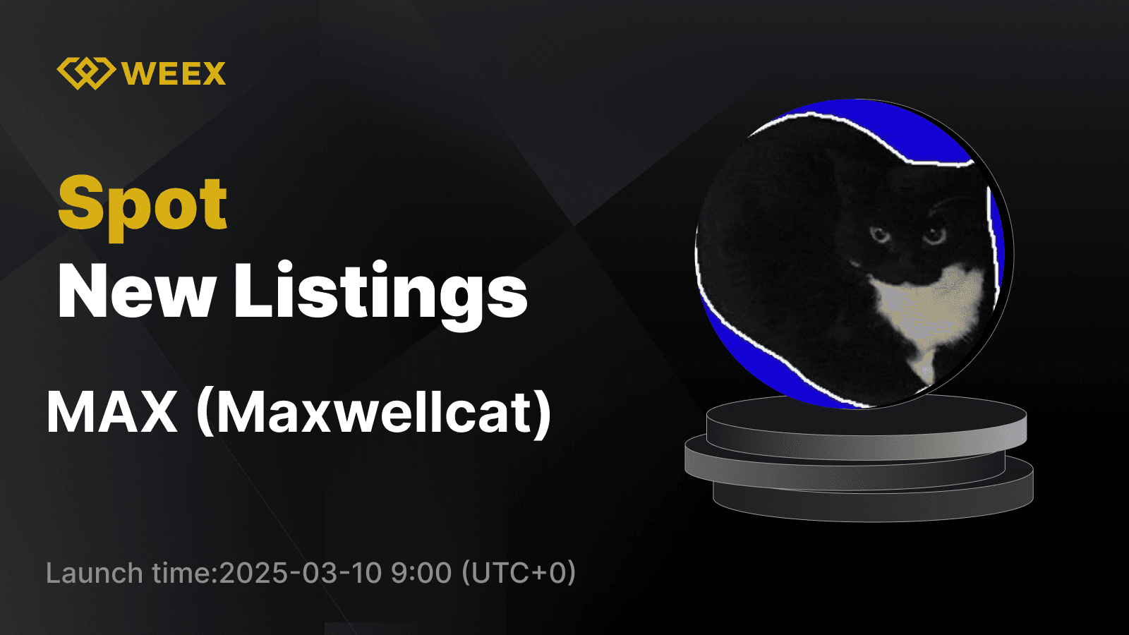 Maxwellcat (MAX) Arrives on WEEX Spot with MAX USDT Trading Now Live