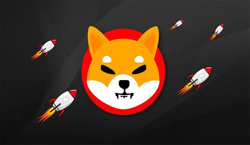 Shiba Inu Coin Price Prediction 2025–2030- Can SHIB Overcome Market Challenges