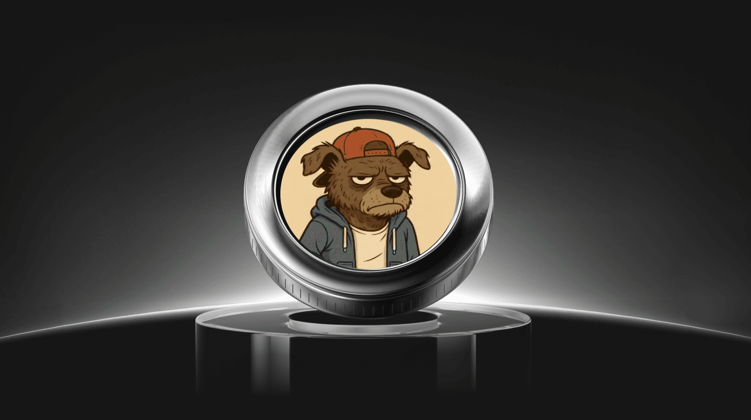 Czym jest moneta Stray Dog (STRAYDOG) i jak działa?