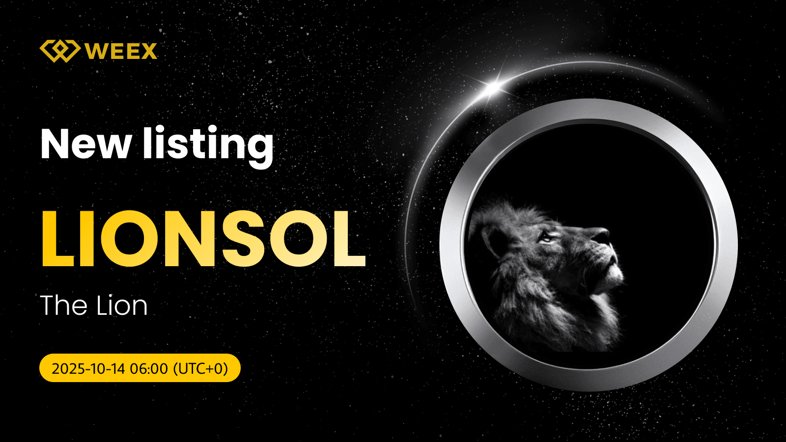 LIONSOL USDT En vivo: WEEX Listas Moneda del León (LEÓN)