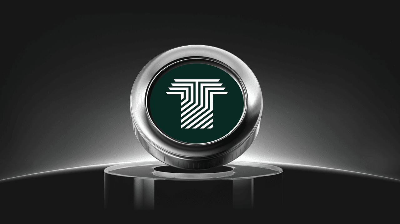  O que é a Trillions Coin: a primeira memecoin no Plasma