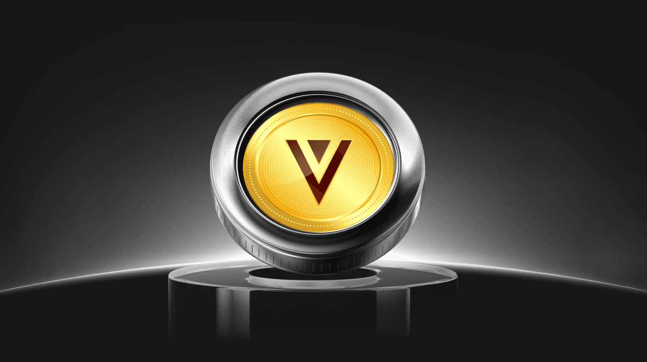 What is VMS Classic (VMC) Coin?