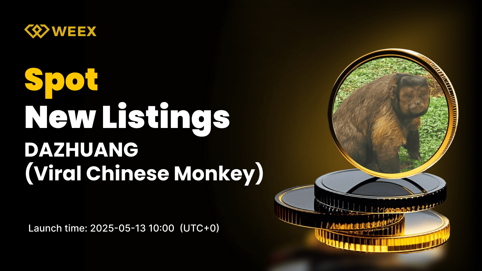 Viral Chinese Monkey (DAZHUANG) Listed on WEEX
