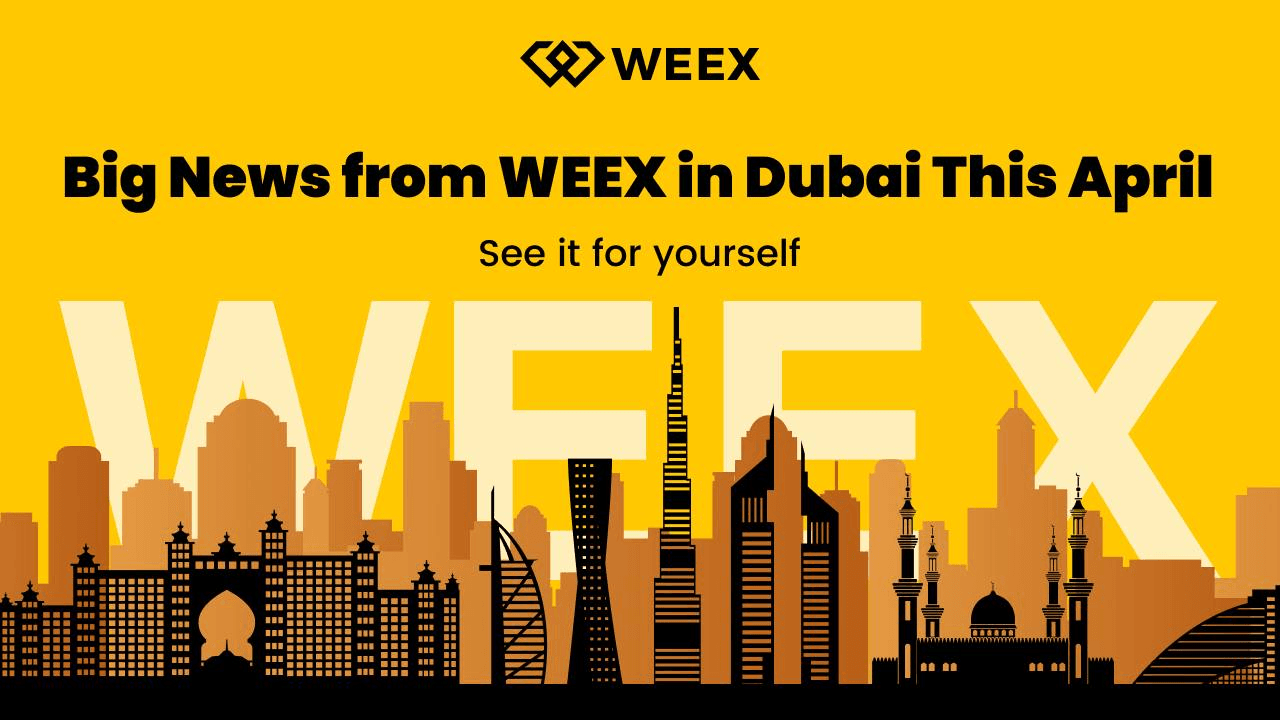 WEEX加速全球化布局：迪拜设立国际办事处，TOKEN2049共振亮相