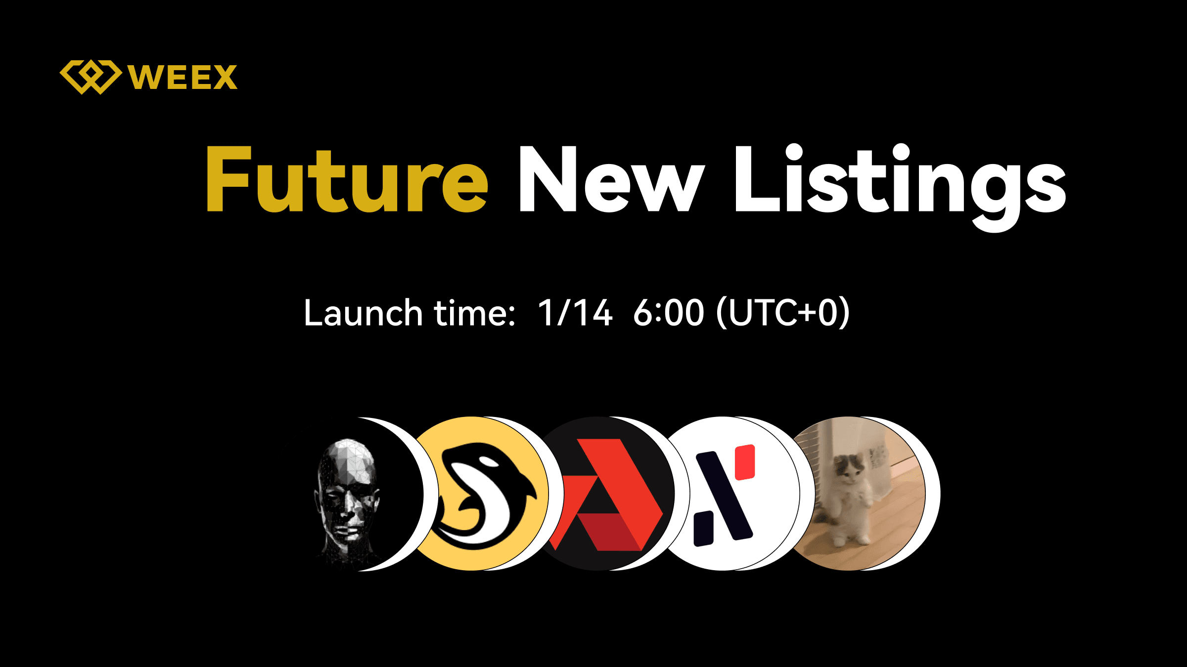 WEEX Futures Launches AITECH, ORCA, AKT, ALPH, MICHI