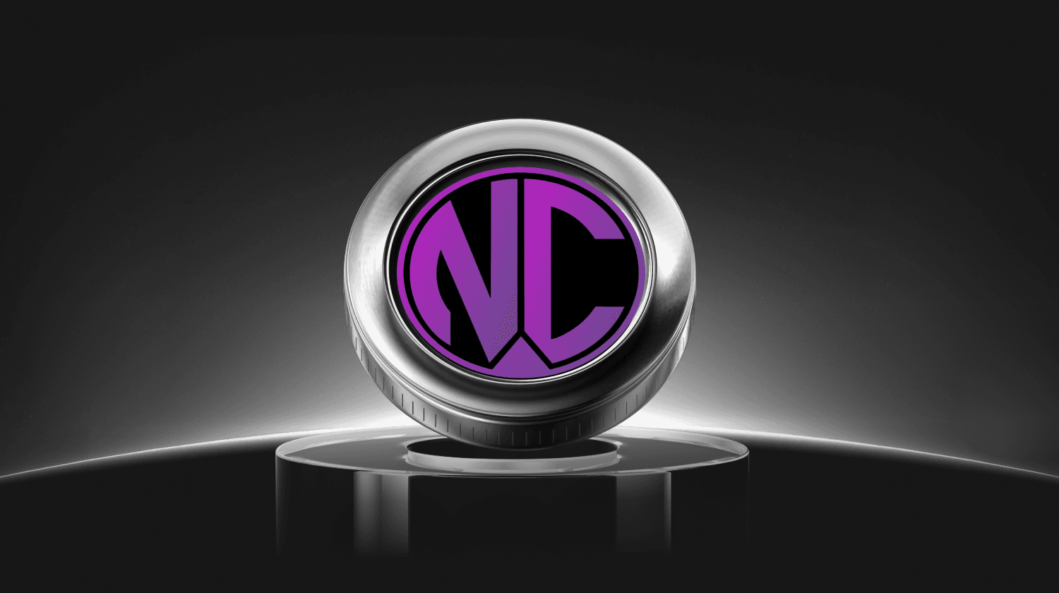 What is NPC WEB3 GAMEFI (NPCR)? A Guide to the New Arbitrum GameFi Token