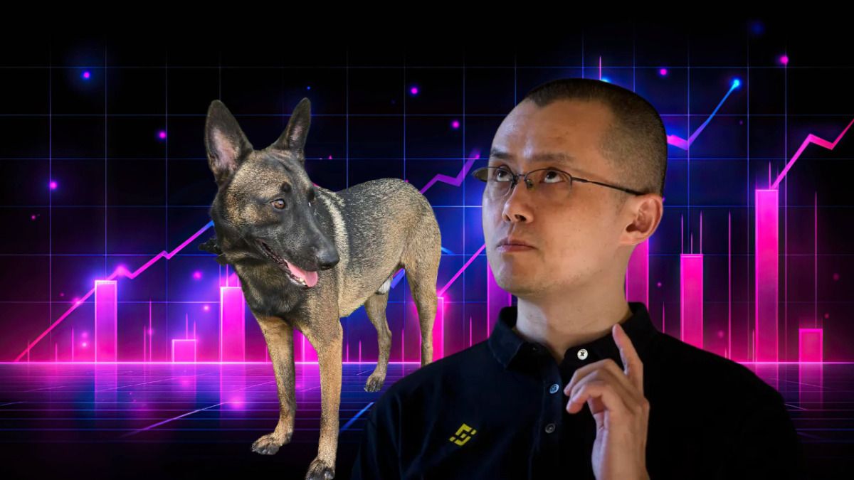 Will Broccoli Coin Be the Next 100x Meme Coin? CZ Dog Meme Coin Explained