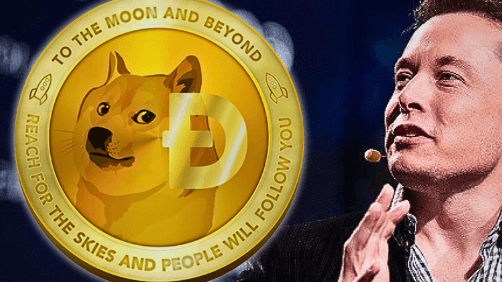 DOGE + Elon Musk