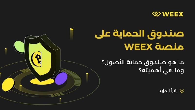 ما هو صندوق حماية الأصول على منصة WEEX؟ وما هي أهميته؟