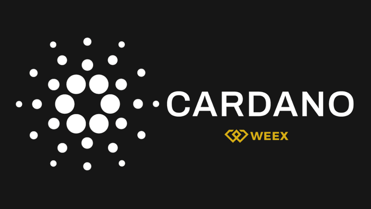 Czym jest Cardano (ADA)? Kompletny przewodnik dla początkujących