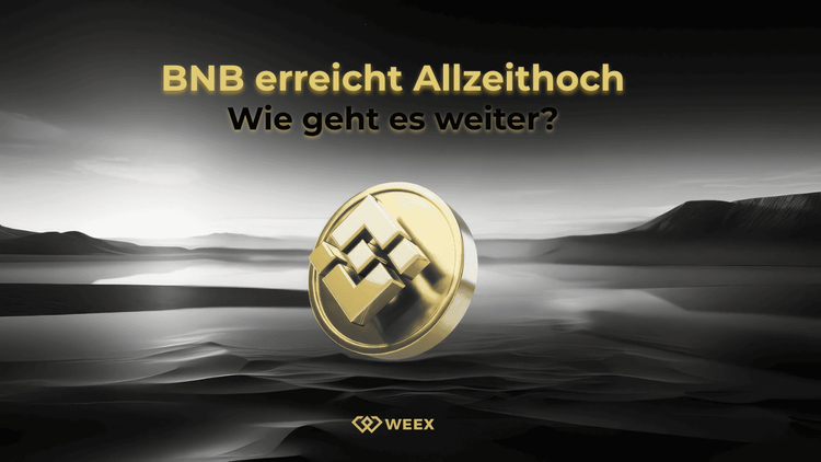 BNB erreicht Allzeithoch: Wie geht es weiter?