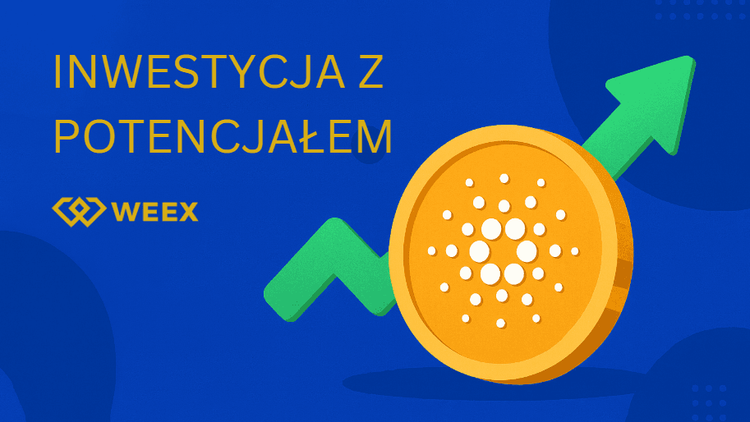 Inwestycja z potencjałem: Najlepsze kryptowaluty w 2025 roku, czyli gdzie warto inwestować, a czego unikać?