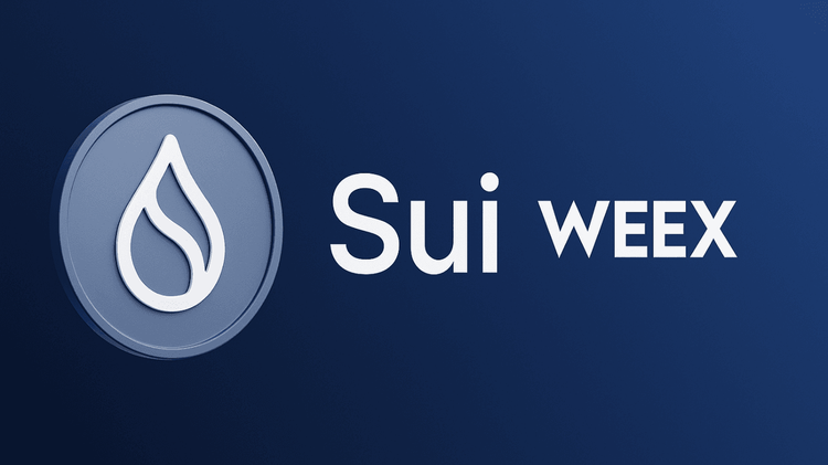 Sui (SUI)  چیست؟ نگاهی عمیق به توکن لایه یک با رشدی پرشتاب در میان کاربران ایرانی