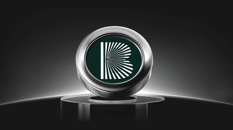 What is BANKLESS Coin? A Guide to the Meme Token