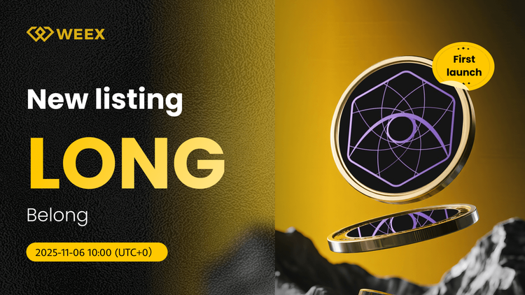LONG USDT Spot Trading aparece en WEEX: Moneda de Pertenencia