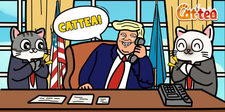 Cattea Daily Combo 20-24 January 2025: What is Cattea Airdrop?