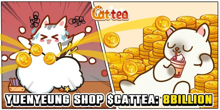 Cattea Daily Combo Review: 20-21 February 2025 Exclusive Update