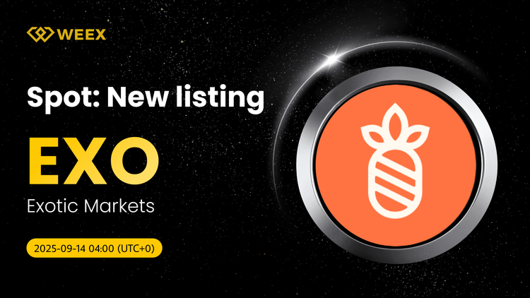 EXO USDT New Listed: Trade Exotic Markets Coin on WEEX