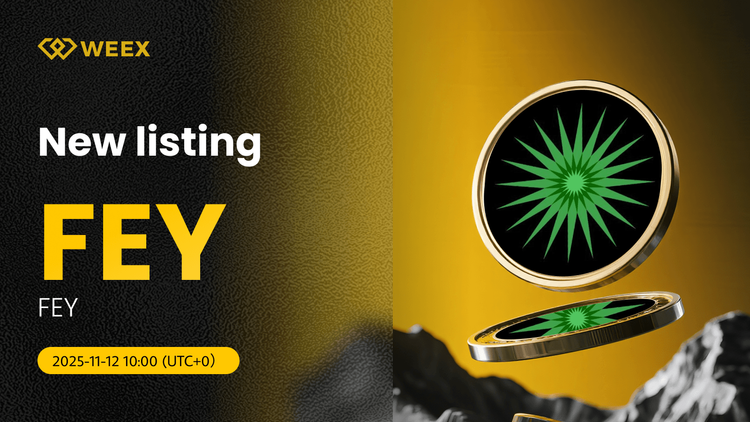 عملة FEY USDT متاحة الآن على WEEX: تداول عملة FEY