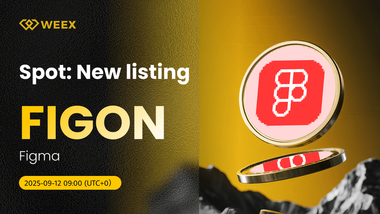 FIGON USDT Now Live: WEEX Lists Figma (FIGON) CoinWEEX Lists Figma (FIGON) Coin