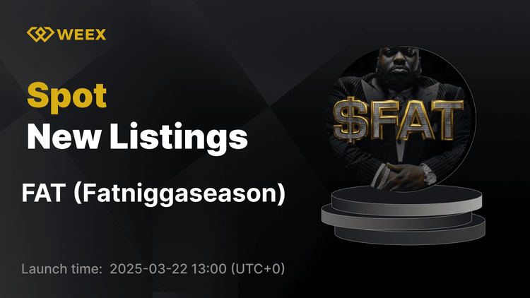 Fatniggaseason (FAT) فهرست شده در WEEX – جفت معاملاتی FAT USDT فعال می شود!