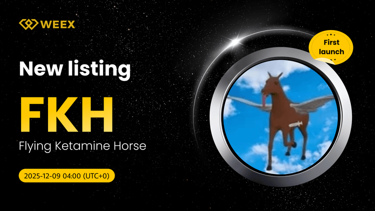 ارز دیجیتال FKH USDT به صورت زنده در WEEX: سکه اسب کتامین پرنده را معامله کنید