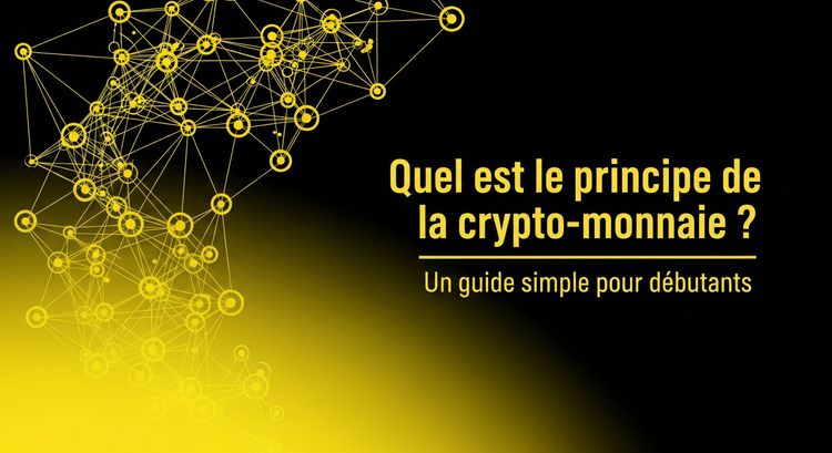 Quel est le principe de la crypto-monnaie ? Un guide simple pour débutants