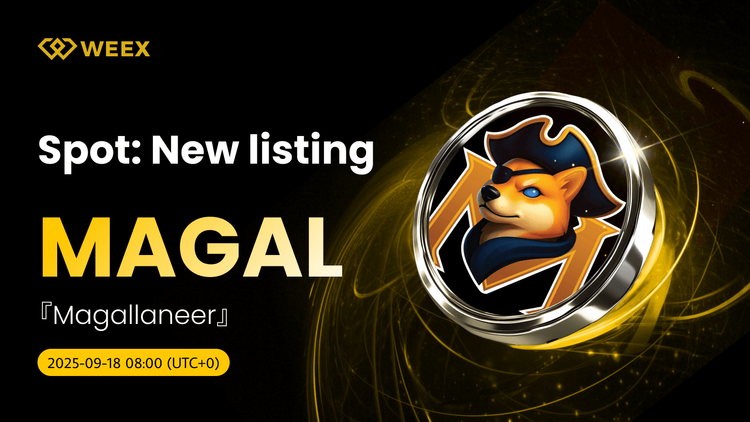 MAGAL USDT Listed on WEEX: Magallaneer (MAGAL) Coin Trading