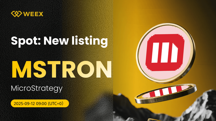 MSTRON USDT Trading Live on WEEX: MicroStrategy Coin