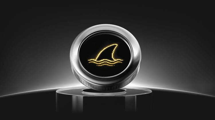 What is Money Sharks (SHARKS) Coin?