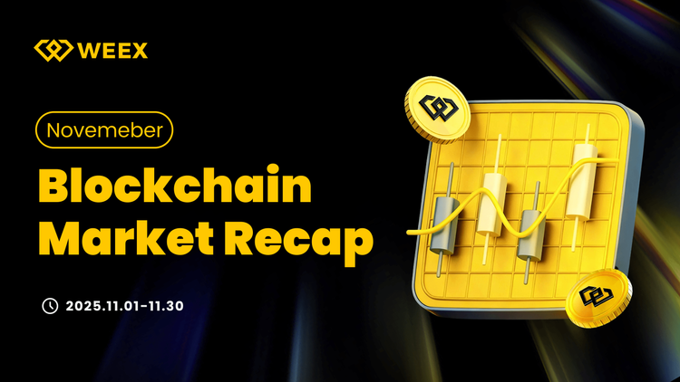 November 2025 Crypto Market Review: Price Correction, ETF Redemptions, and Evolving Blockchain Landscape