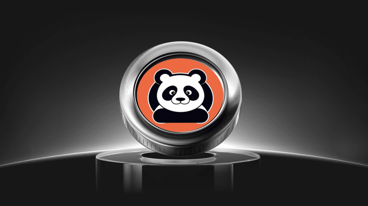 What is PandaCoin (PANDACOIN) Coin?