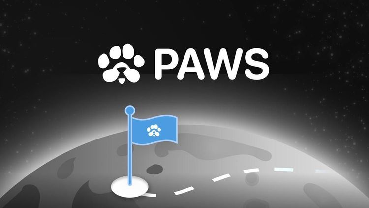 PAWS 空投和代币上市：3 月 18 日发布完整指南