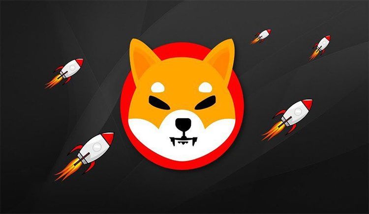 Predicción del precio de la moneda Shiba Inu para 2025-2030: ¿Podrá SHIB superar los retos del mercado?