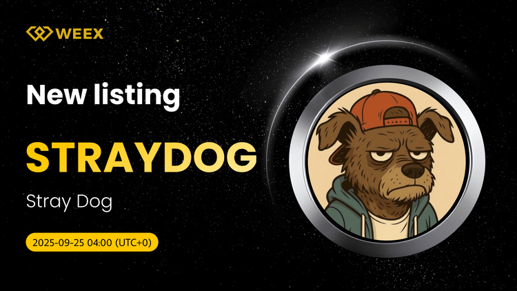 STRAYDOG USDT Spot Trading is Listed on WEEX Exchange