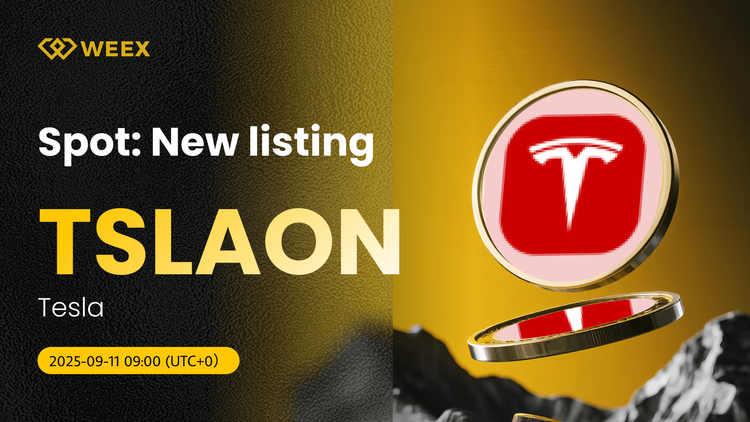 TSLAON USDT Now Live: Tesla (TSLAON) Coin Listed on WEEX