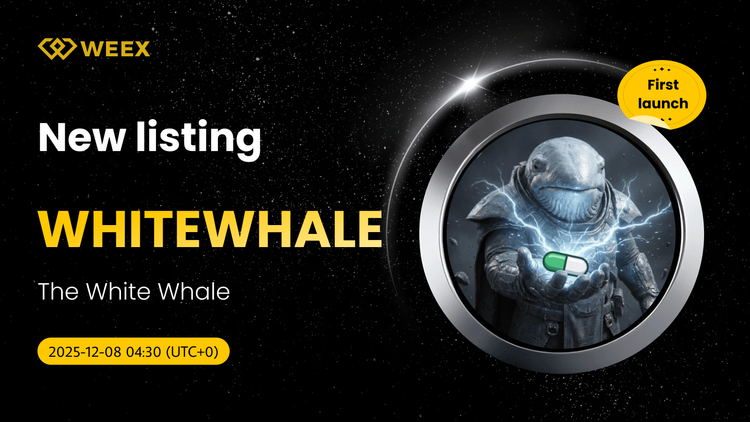 WHITEWHALE USDT Trading Live on WEEX Spot
