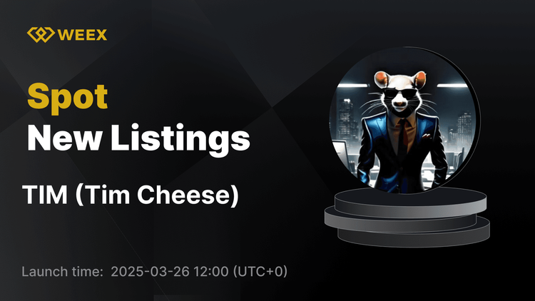 پنیر تیم (TIM) در WEEX با TIM USDT Trading شروع به کار کرد