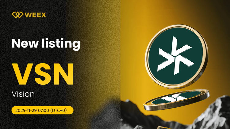 Vision Coin jest notowany na WEEX z VSN USDT Spot Trading Pair