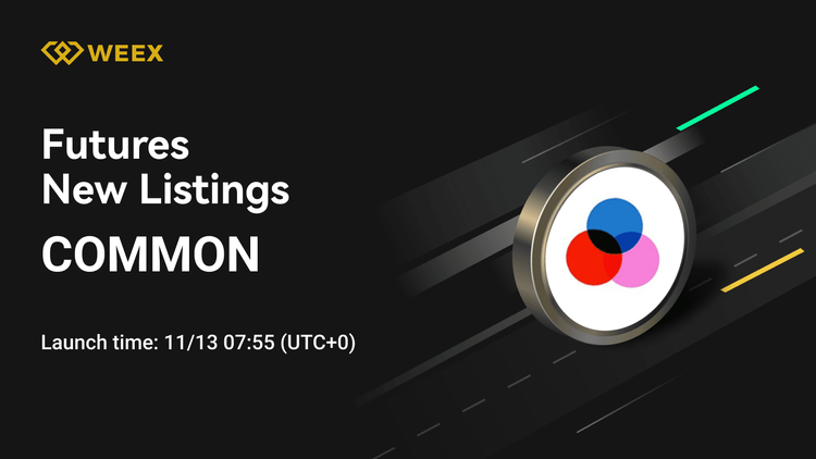عقود WEEX الآجلة تُدرج عقد USDT الدائم الشائع