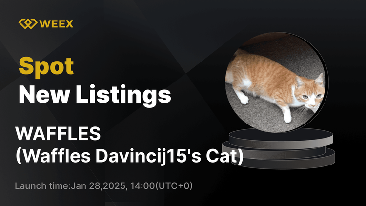 Waffles Davincij15's Cat ($WAFFLES) Ahora listado en WEEX Spot