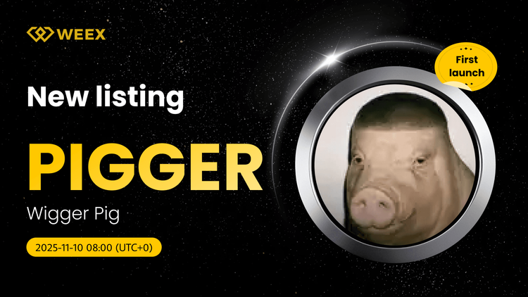 PIGGER USDT Listado en WEEX: Wigger Pig (PIGGER) Moneda