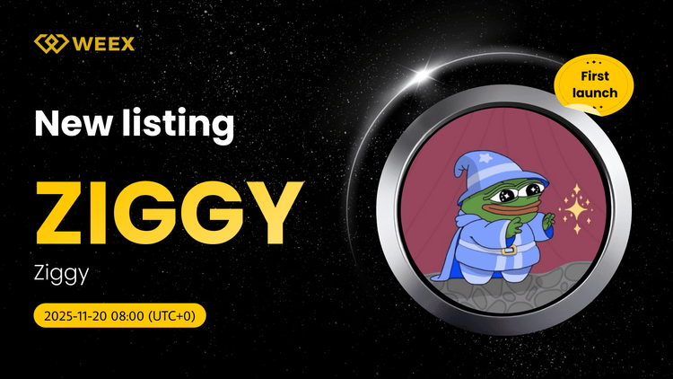 ZIGGY USDT Trading Live: Ziggy Coin Listed on WEEX Spot
