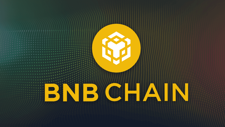 2025'teki En İyi BNB Chain Kriptoları ve Meme Coinleri