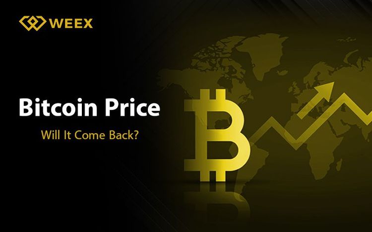 هل سيعود سعر البيتكوين للارتفاع؟