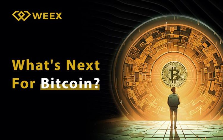 ما مستقبل البيتكوين؟